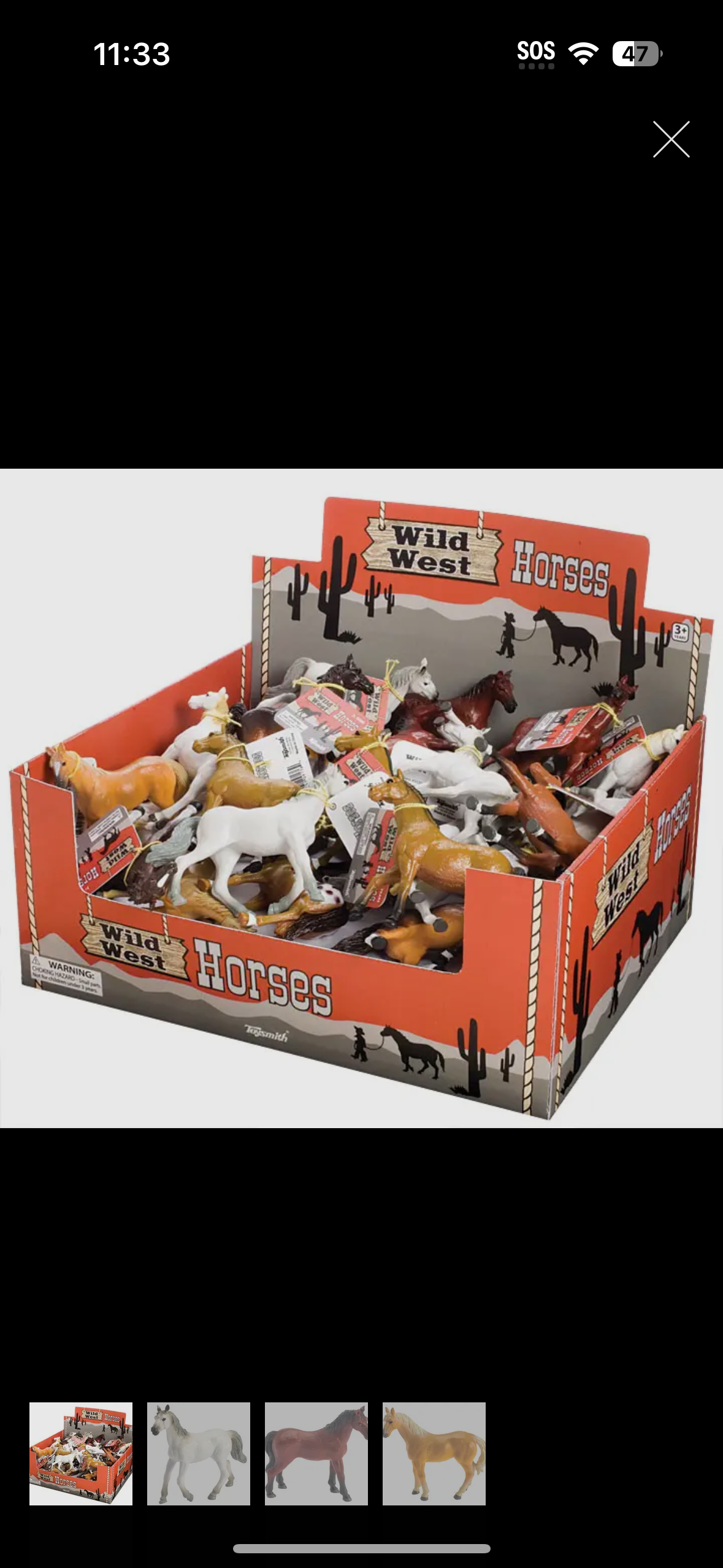 Wild West Horses